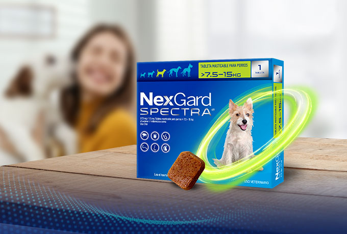 Nexgard spectra product and women with dog